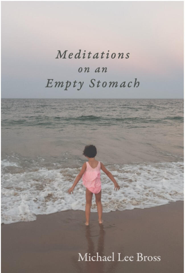 A picture of a book cover. The book's title is "Meditations on an Empty Stomach" by Michael Lee Bross, and has a picture of a small child, back turned to the camera, facing out towards the ocean.